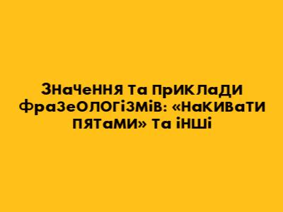 Значення та приклади фразеологізмів: «накивати п'ятами» та інші