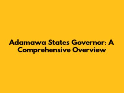 Adamawa State's Governor: A Comprehensive Overview