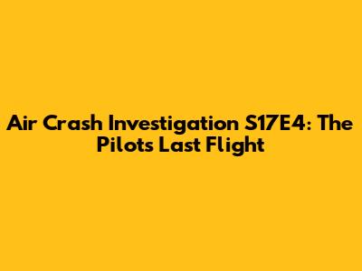 Air Crash Investigation S17E4: The Pilot's Last Flight