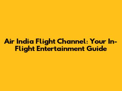 Air India Flight Channel: Your In-Flight Entertainment Guide