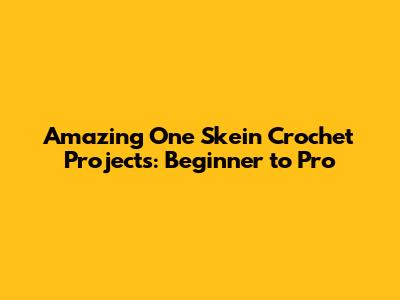 Amazing One Skein Crochet Projects: Beginner to Pro
