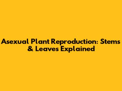 Asexual Plant Reproduction: Stems & Leaves Explained