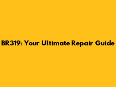 BR319: Your Ultimate Repair Guide