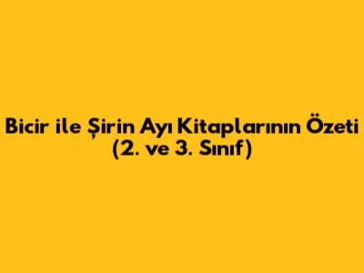 Bicir ile Şirin Ayı Kitaplarının Özeti (2. ve 3. Sınıf)