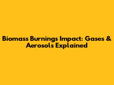 Biomass Burning's Impact: Gases & Aerosols Explained