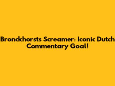 Bronckhorst's Screamer: Iconic Dutch Commentary Goal!