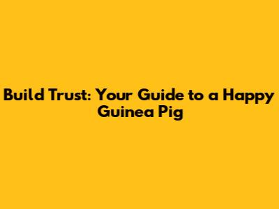 Build Trust: Your Guide to a Happy Guinea Pig