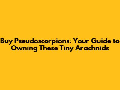 Buy Pseudoscorpions: Your Guide to Owning These Tiny Arachnids