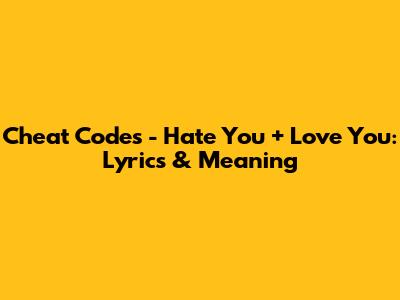 Cheat Codes - Hate You + Love You: Lyrics & Meaning