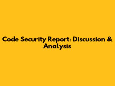 Code Security Report: Discussion & Analysis