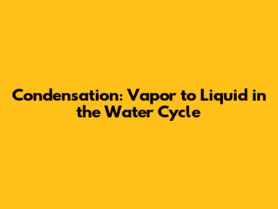 Condensation: Vapor to Liquid in the Water Cycle