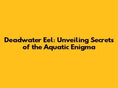 Deadwater Eel: Unveiling Secrets of the Aquatic Enigma