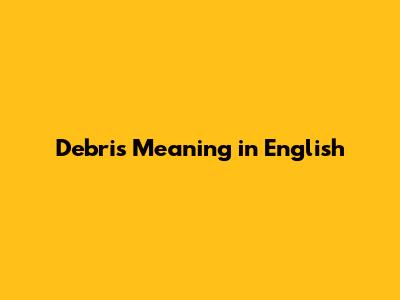 Debris Meaning in English