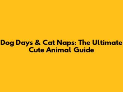 Dog Days & Cat Naps: The Ultimate Cute Animal Guide