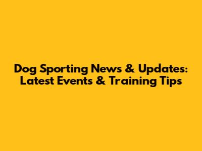 Dog Sporting News & Updates: Latest Events & Training Tips