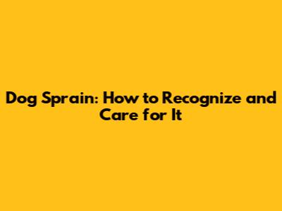 Dog Sprain: How to Recognize and Care for It