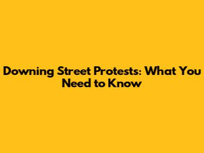 Downing Street Protests: What You Need to Know