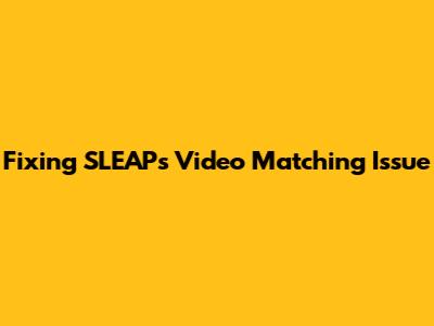 Fixing SLEAP's Video Matching Issue
