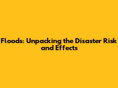 Floods: Unpacking the Disaster Risk and Effects