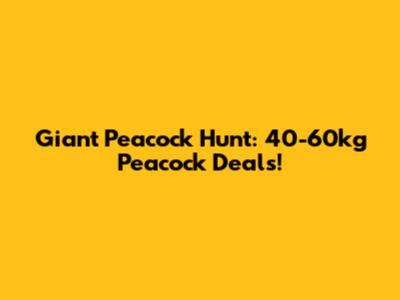 Giant Peacock Hunt: 40-60kg Peacock Deals!
