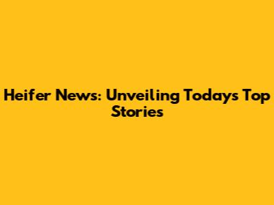 Heifer News: Unveiling Today's Top Stories