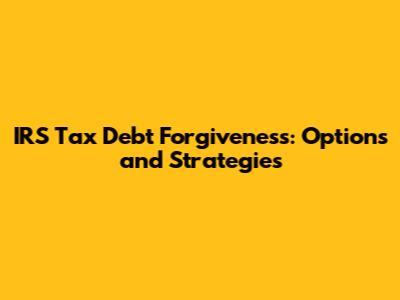 IRS Tax Debt Forgiveness: Options and Strategies