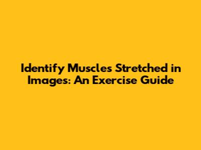 Identify Muscles Stretched in Images: An Exercise Guide
