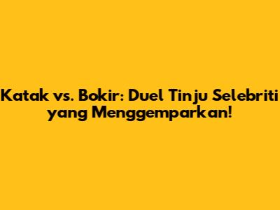 Katak vs. Bokir: Duel Tinju Selebriti yang Menggemparkan!