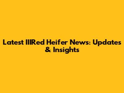 Latest IIIRed Heifer News: Updates & Insights