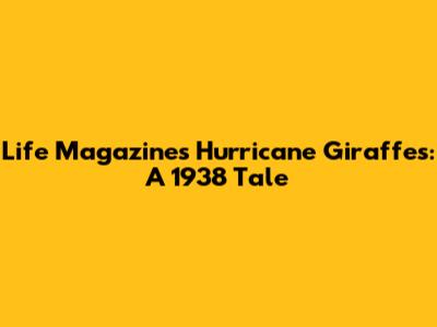 Life Magazine's Hurricane Giraffes: A 1938 Tale