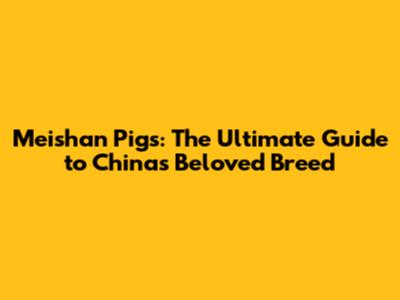 Meishan Pigs: The Ultimate Guide to China's Beloved Breed
