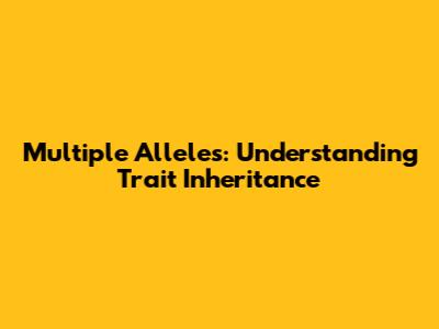 Multiple Alleles: Understanding Trait Inheritance