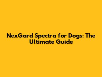 NexGard Spectra for Dogs: The Ultimate Guide
