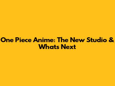 One Piece Anime: The New Studio & What's Next