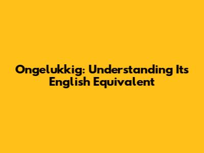 Ongelukkig: Understanding Its English Equivalent