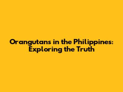 Orangutans in the Philippines: Exploring the Truth