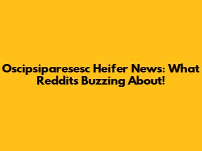 Oscipsiparesesc Heifer News: What Reddit's Buzzing About!