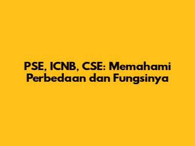PSE, ICNB, CSE: Memahami Perbedaan dan Fungsinya
