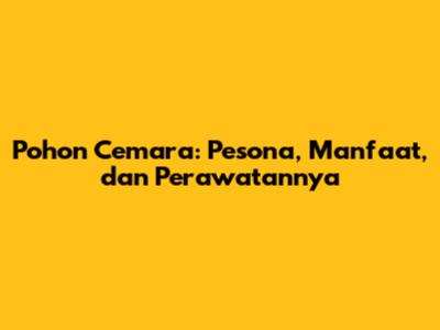 Pohon Cemara: Pesona, Manfaat, dan Perawatannya