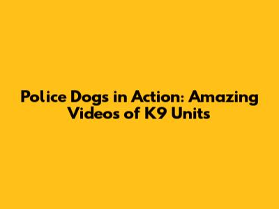 Police Dogs in Action: Amazing Videos of K9 Units