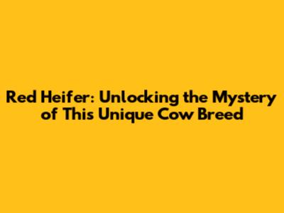 Red Heifer: Unlocking the Mystery of This Unique Cow Breed