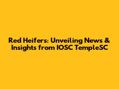 Red Heifers: Unveiling News & Insights from IOSC TempleSC