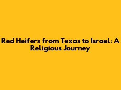 Red Heifers from Texas to Israel: A Religious Journey