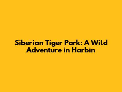 Siberian Tiger Park: A Wild Adventure in Harbin