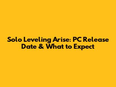 Solo Leveling Arise: PC Release Date & What to Expect