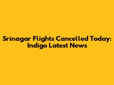 Srinagar Flights Cancelled Today: Indigo Latest News