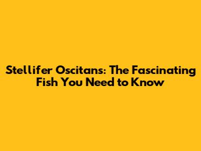 Stellifer Oscitans: The Fascinating Fish You Need to Know