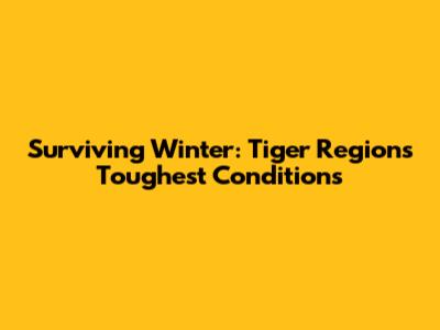 Surviving Winter: Tiger Region's Toughest Conditions