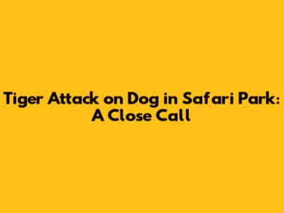 Tiger Attack on Dog in Safari Park: A Close Call