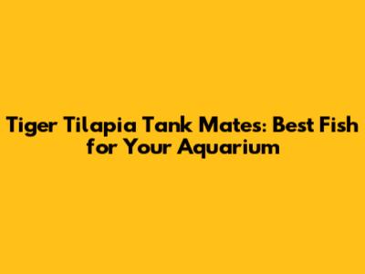 Tiger Tilapia Tank Mates: Best Fish for Your Aquarium